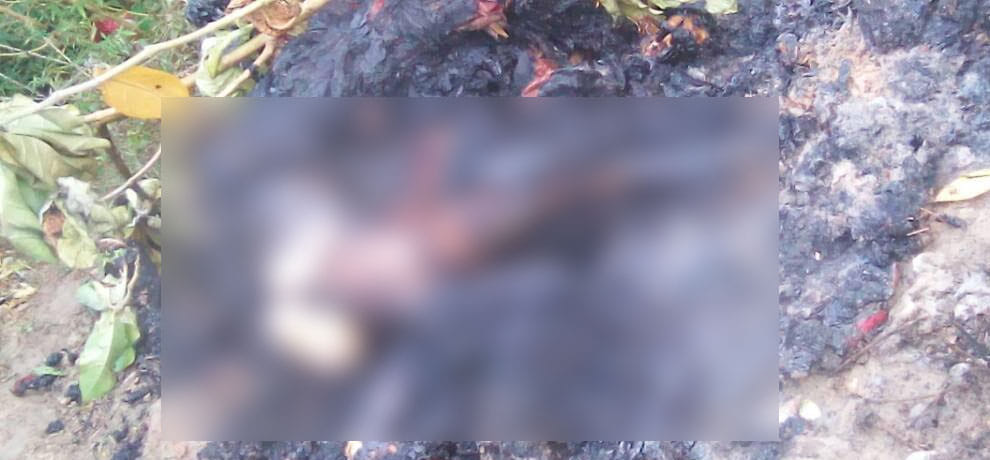 angry mother burned alive her two daughter in UP's bansgaoun