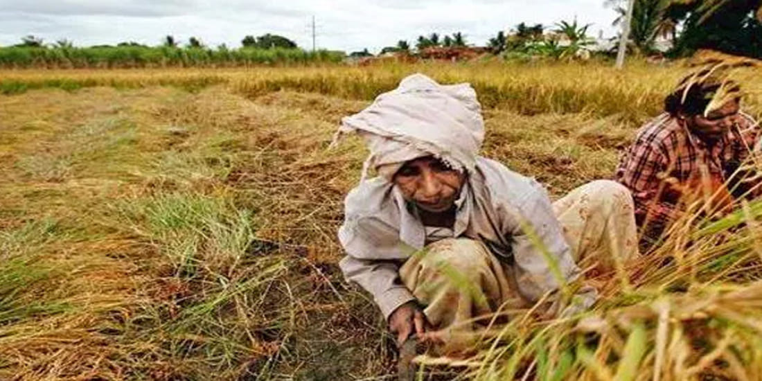 eighteen thousand small marginal farmers in trouble