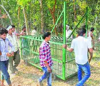 The backbone of a soldier broken in leopard attack
