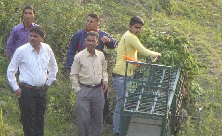 Leopard not falling around the cage, fear in people
