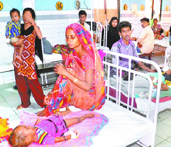 Six child,s death from colra and fever