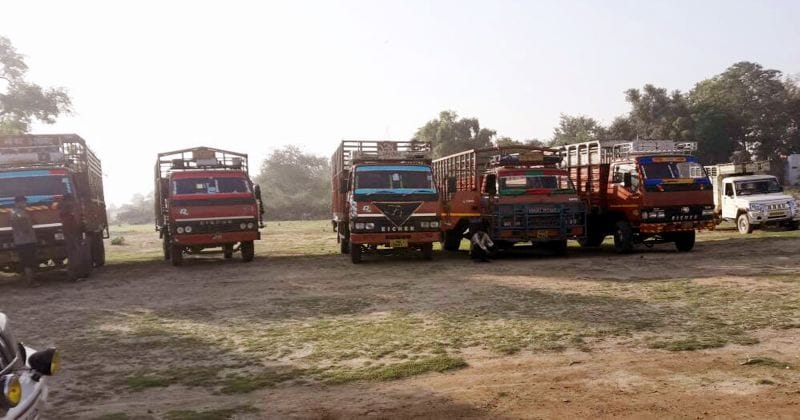 क्रूरता पूर्वक ले जाए जा रहे 97 पशु कराए मुक्त