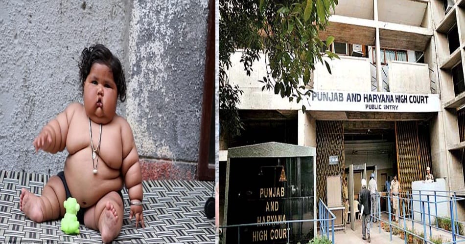 chahat over weight highcourt issued notice to pgi