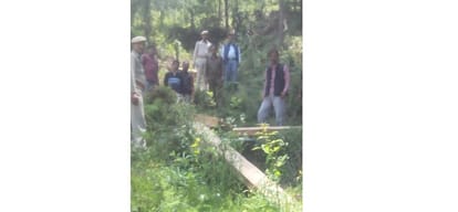 Himachal High Court Orders CBI Probe into forest guard Hoshiyar Singh death case