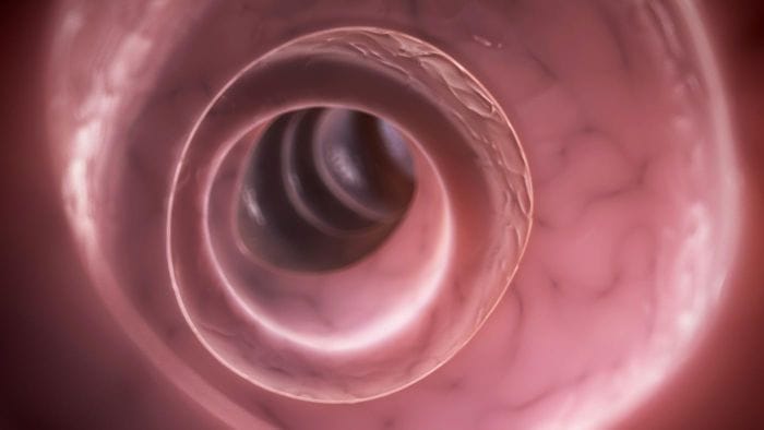 doctors remove 30 inches of china man’s bowel 