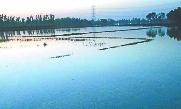 Mamour lake breaks broken