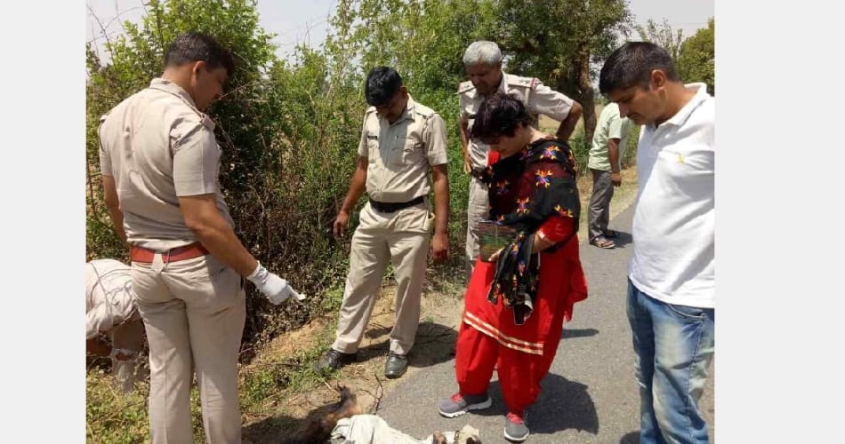 Brutally murder and burn dead body, rohtak news