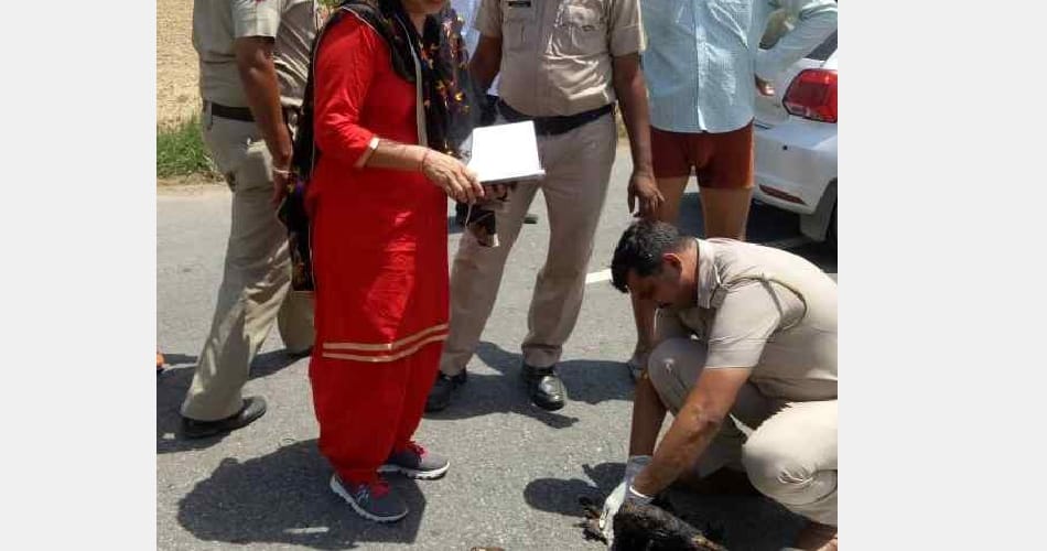 Brutally murder and burn dead body, rohtak news