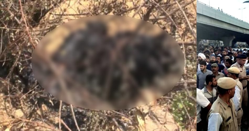Brutally murder and burn dead body, rohtak news