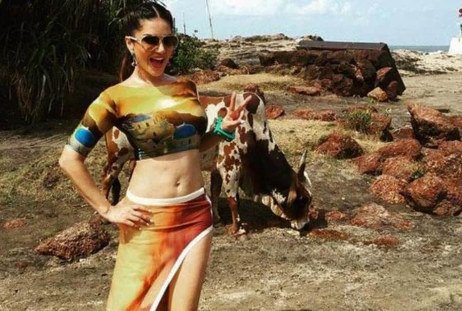 sunny leone will come in uttarakhand dehradun news