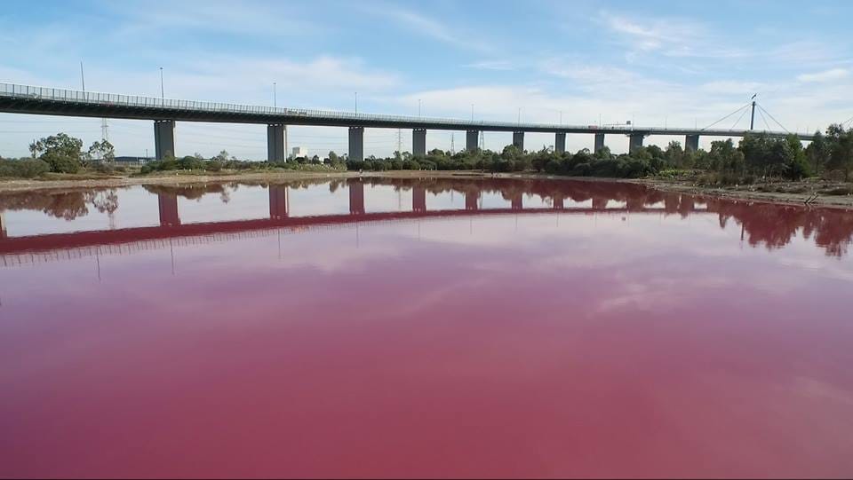  lake in Australia turns in pink color by a natural process