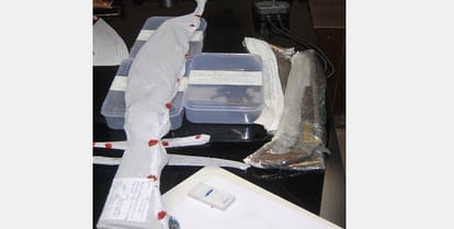 Villagers threw subversive bullets on police, eight arrested, realty recovered