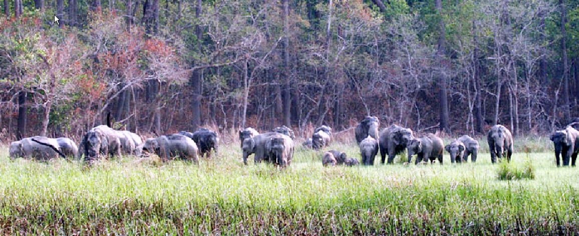 Will be closed tomorrow evening Doors of Dudhwa National Park