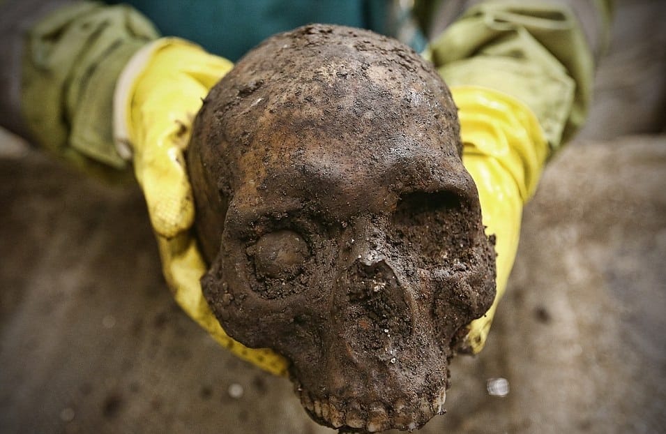  skull during excavation will changes the human evolution