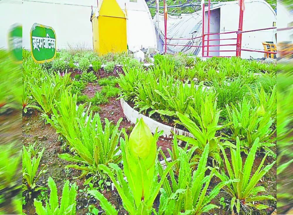 Miracle in Kedarnath Dham in june month