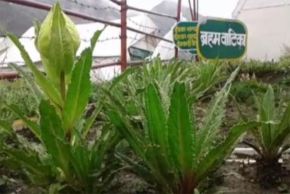 mukesh ambani praised Brahmavitika made by police in kedarnath