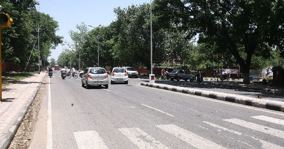 Dangers of poisonous snakes started growing in Chandigarh