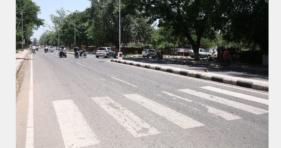 चंबाघाट से कैंथलीघाट तक पेड़ काटने की नहीं इजाजत