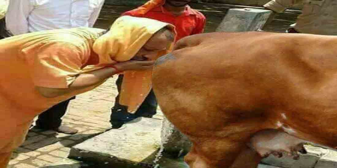 yogi adityanath viral photo showing him drinking cow urine
