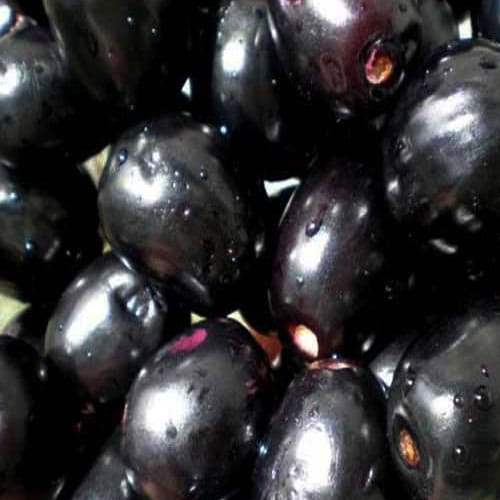 Jambolan seed not only cures Diabetes, it also boost sexual power in man 
