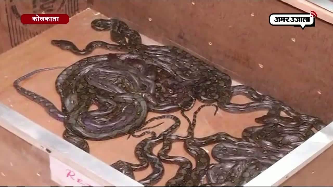 कोलकाता