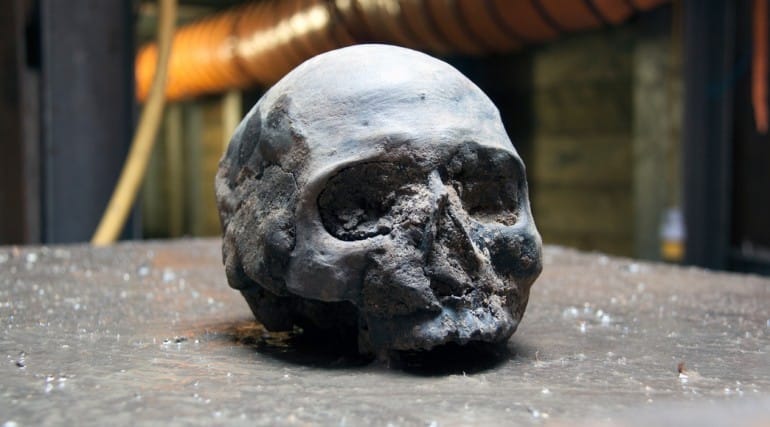  skull during excavation will changes the human evolution
