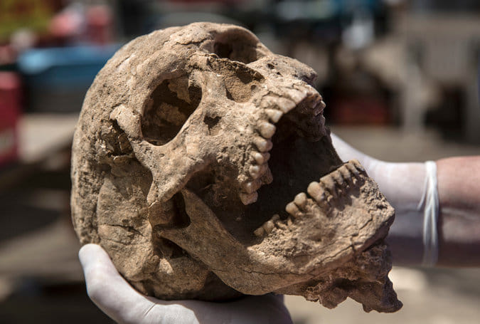  skull during excavation will changes the human evolution