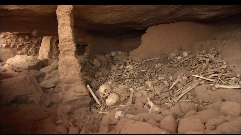  skull during excavation will changes the human evolution
