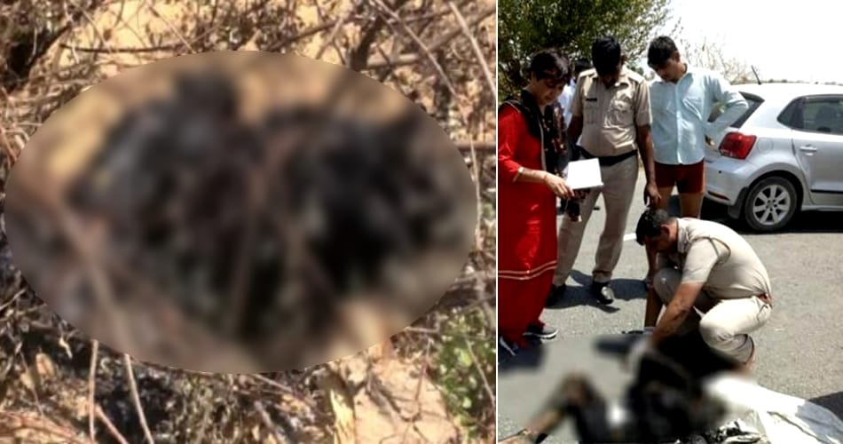 Brutally murder and burn dead body, Haryana news