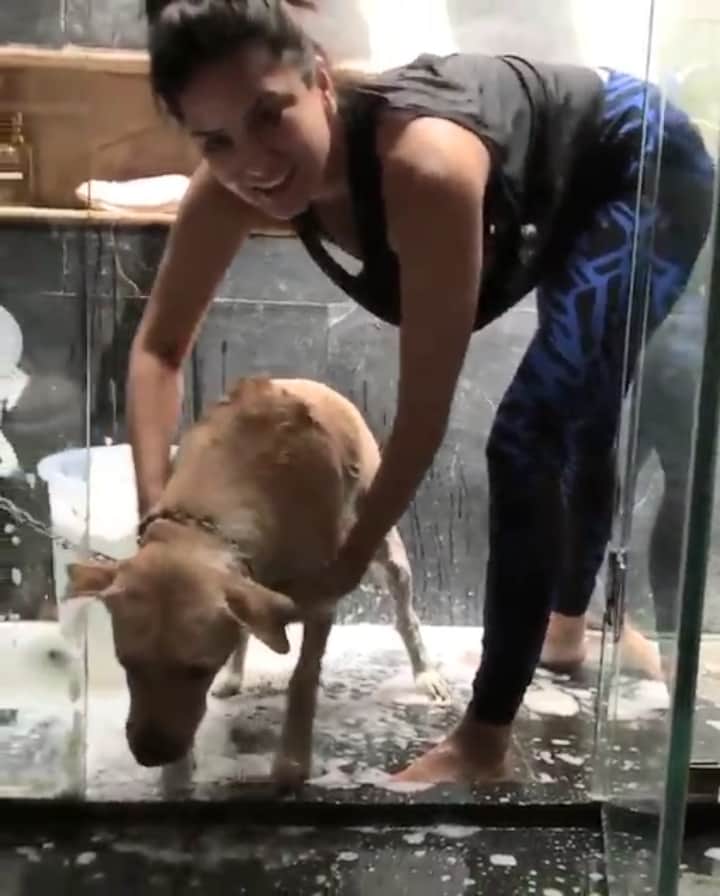sunny leone cutest video viral on socila media