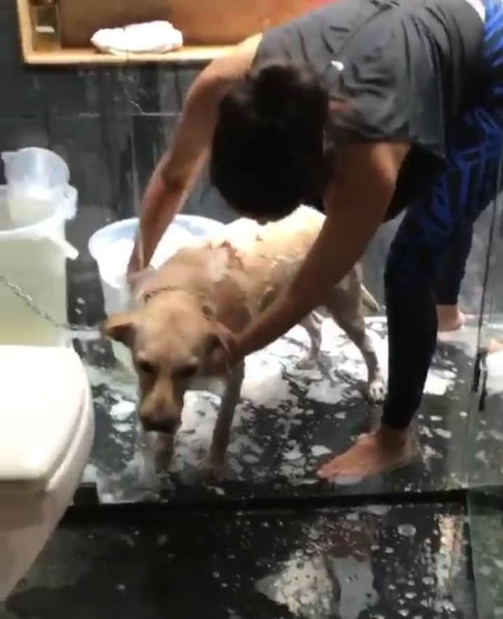 sunny leone cutest video viral on socila media