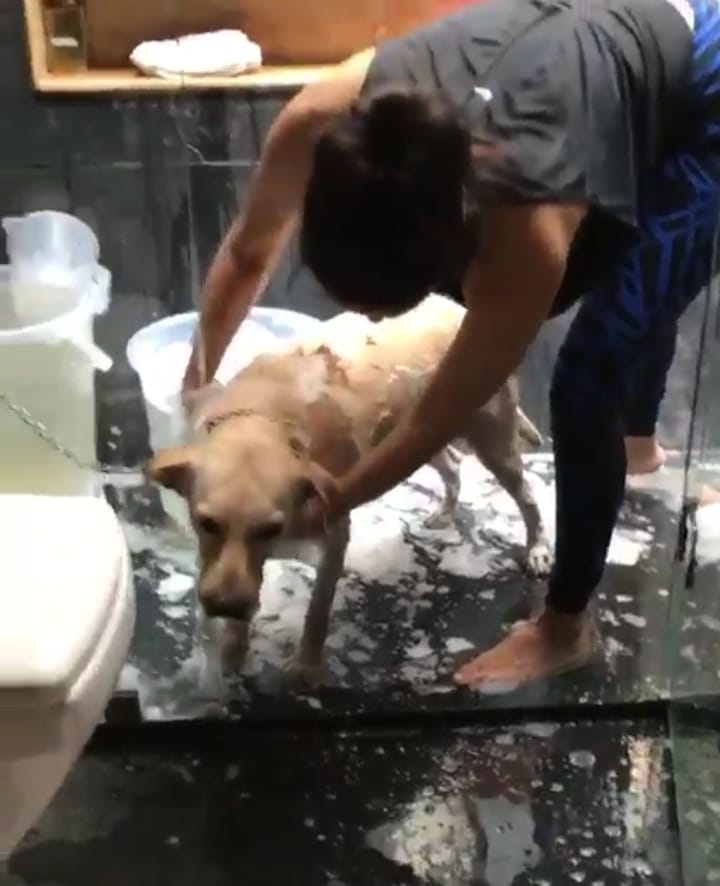 sunny leone cutest video viral on socila media