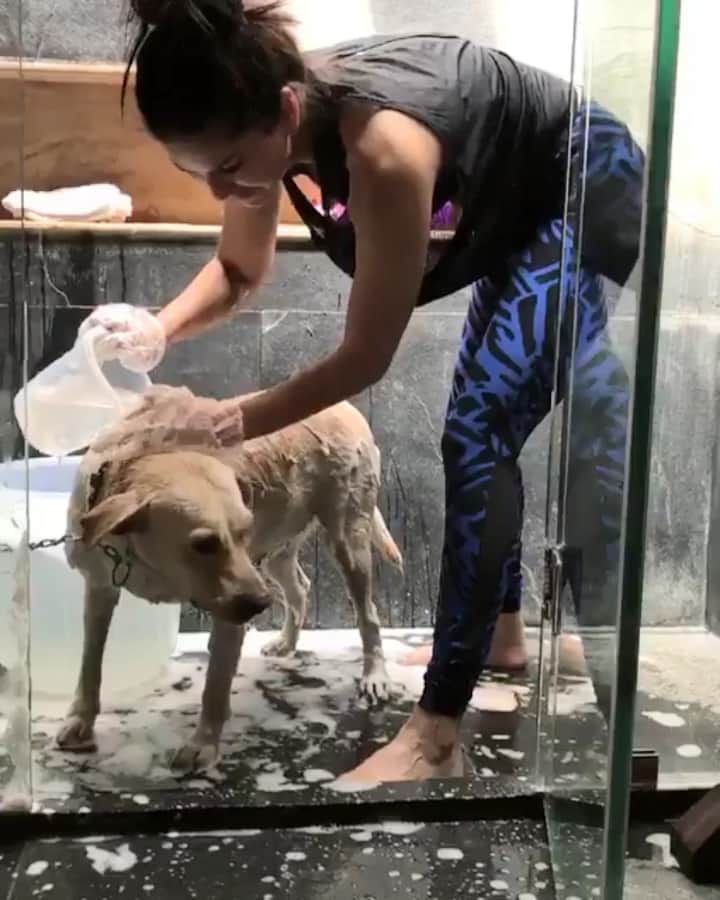 sunny leone cutest video viral on socila media