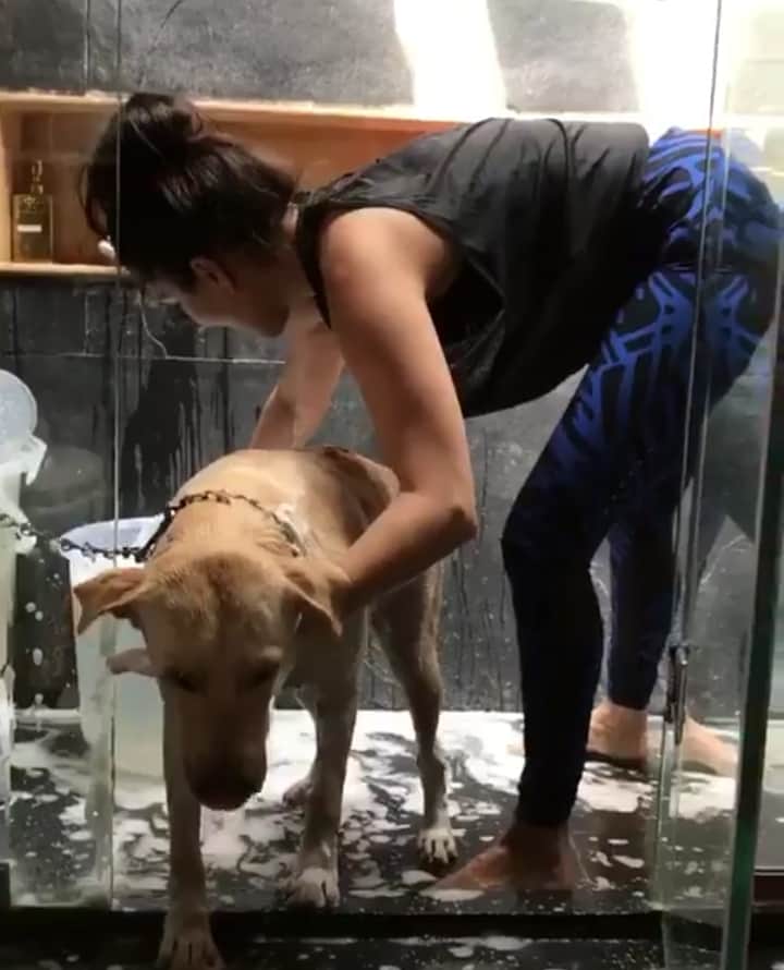 sunny leone cutest video viral on socila media