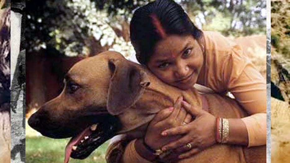 after 17 years phoolan devi murder in news