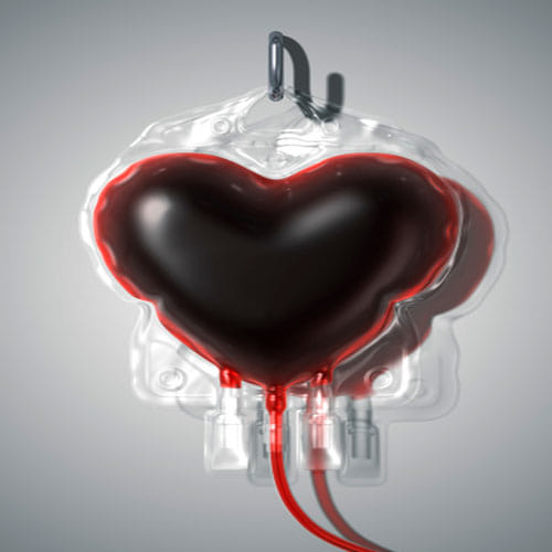 If you have to get blood, then always keep these important things in your mind
