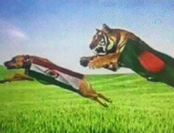 bangladeshi fans insulted national flag in social media before semifinal