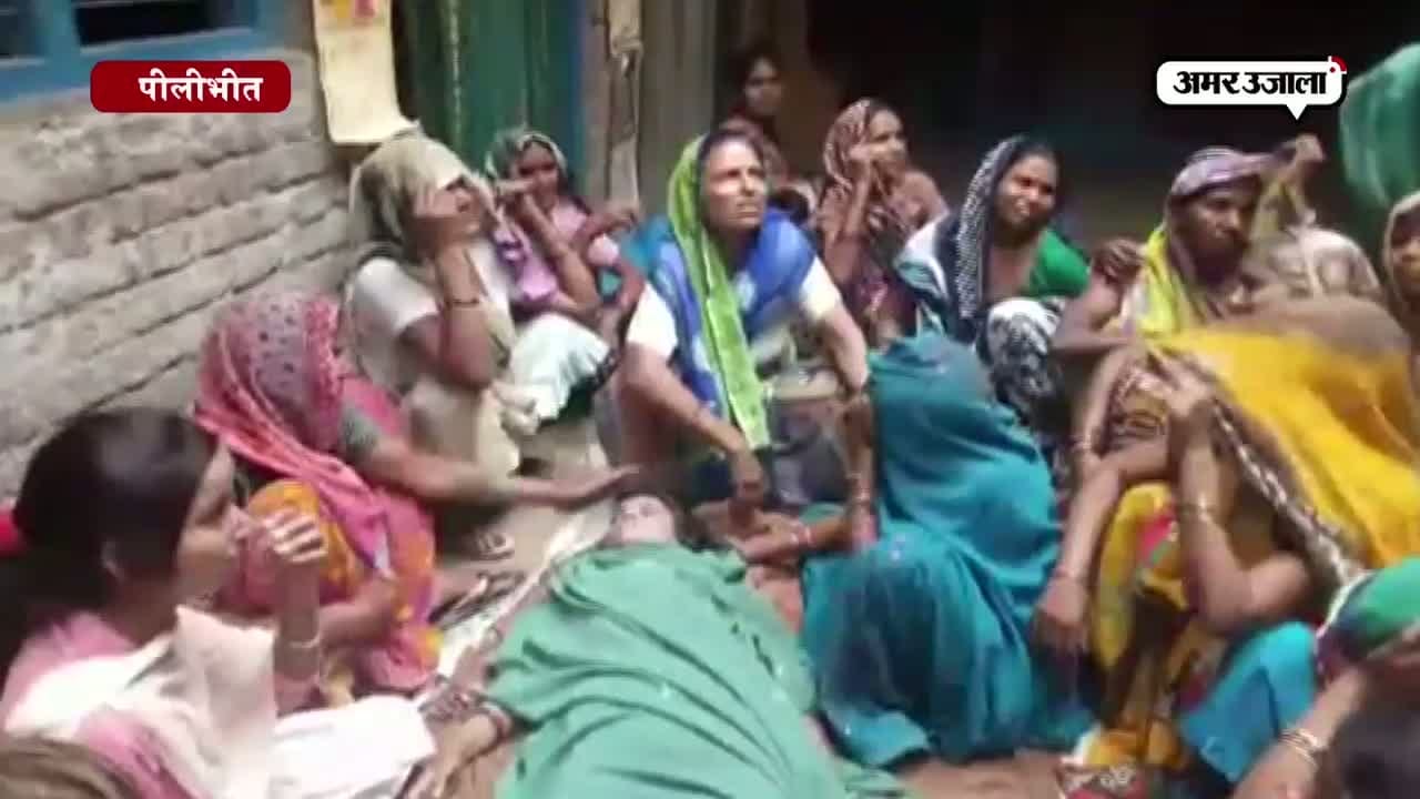पीलीभीत 