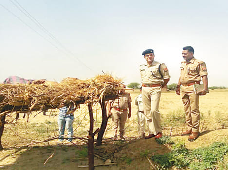 A historisheeter killed by ax