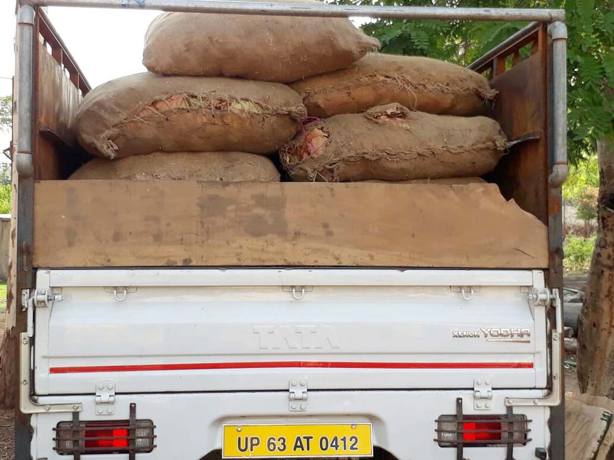 Tandu caught caught pickup 