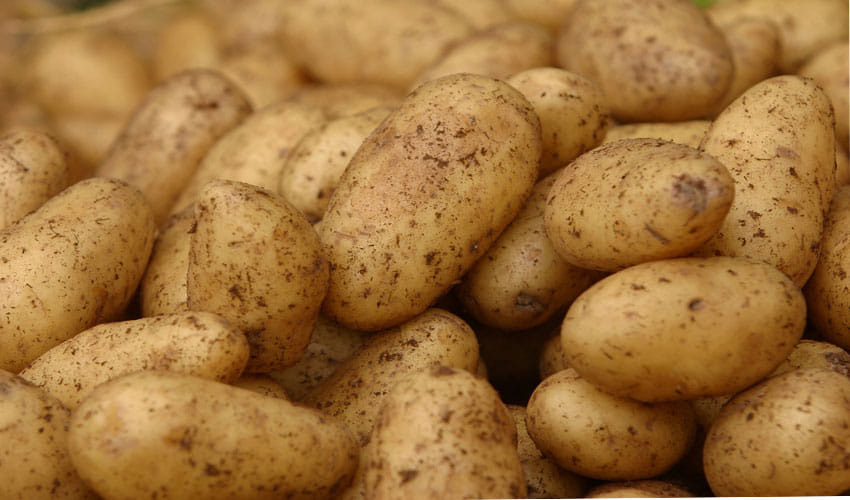 Potato price Hike up to 10 Rupees After onion in dehradun