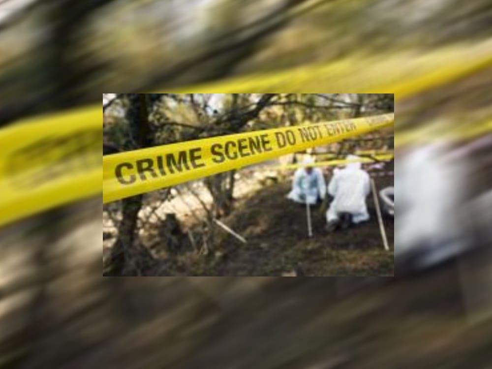 hariyana bussinessman dead body found in new tehri