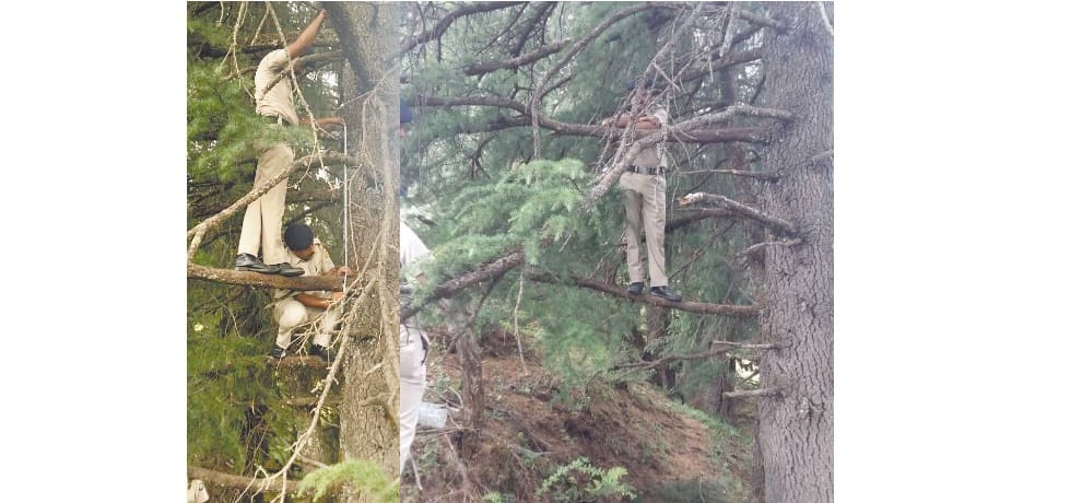 Job Recruitment for forest department rules change