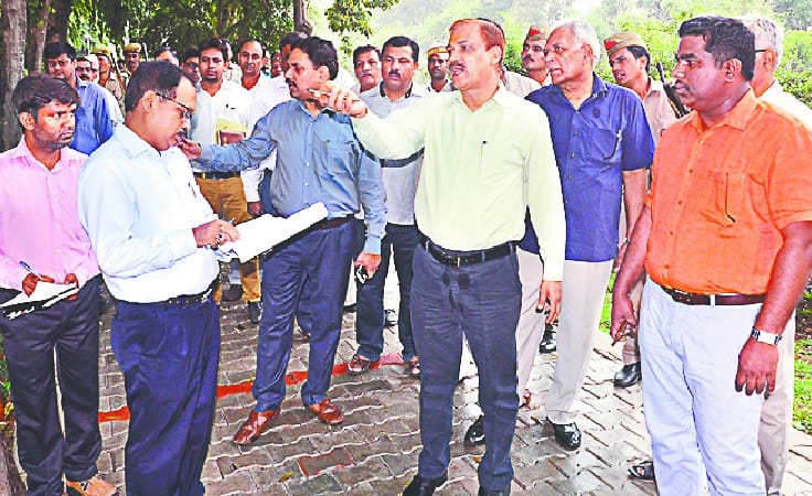 Indra Park will be green from Maulsari