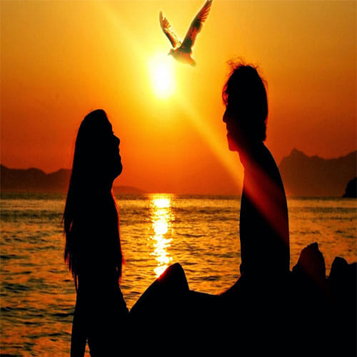 Romantic Relationships-Which do you use