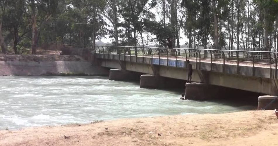 girls and boy jump in canal in patiala