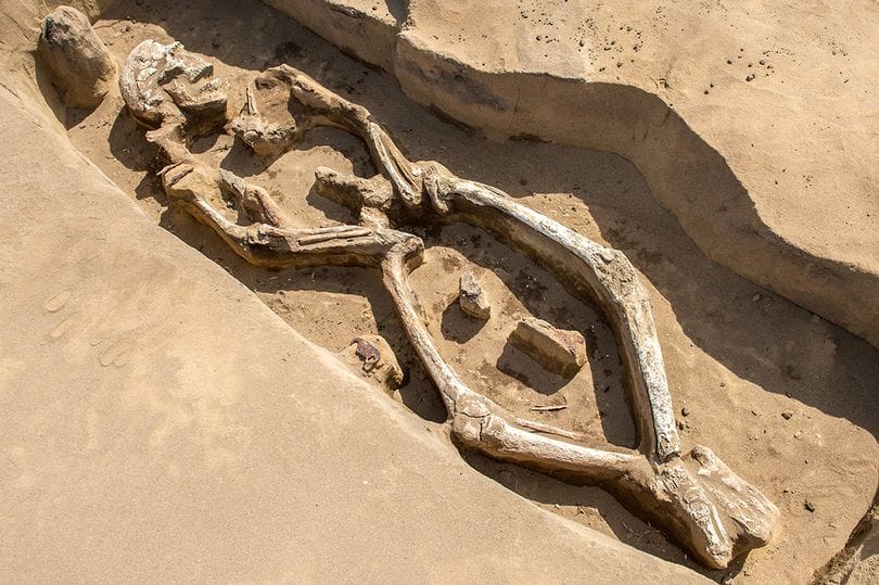 Archaeologists discover 'Dark Ages dancer' in an amazing pose