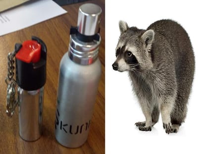 uttarakhand police used skunk spray