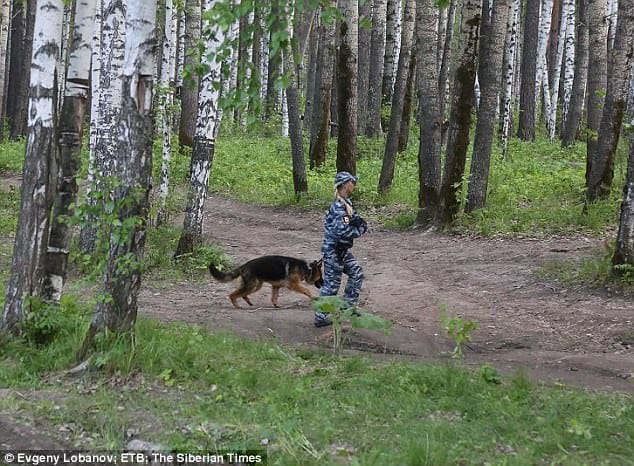 Russian boy 4, survives 5 days with wolves and beers 