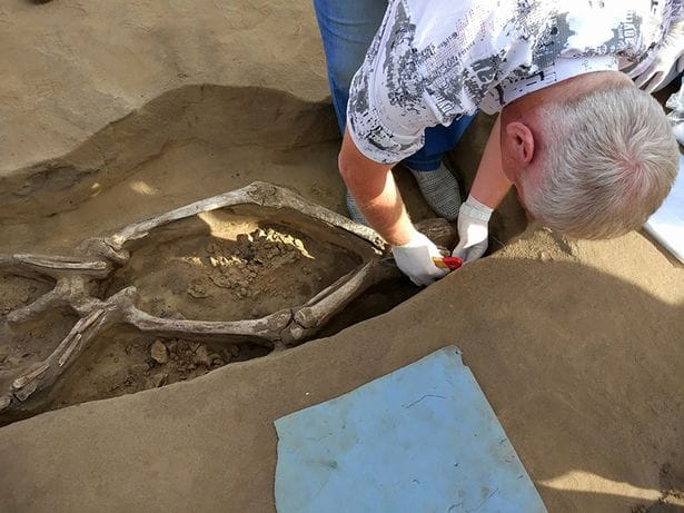 Archaeologists discover 'Dark Ages dancer' in an amazing pose
